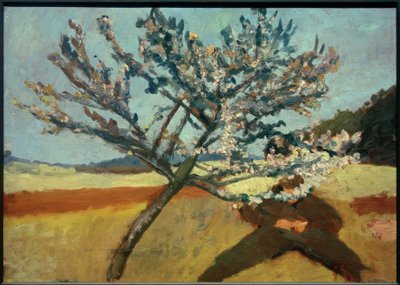 Uomo sdraiato sotto un albero in fiore da Paula Modersohn Becker