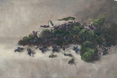 Viole da Pauline Powell Burns