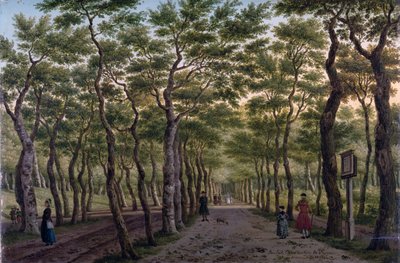 Il Herepad nel Haagse Bos da Paulus Constantin La Fargue
