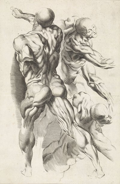 Studio anatomico di tre figure con braccia distese da Paulus Pontius