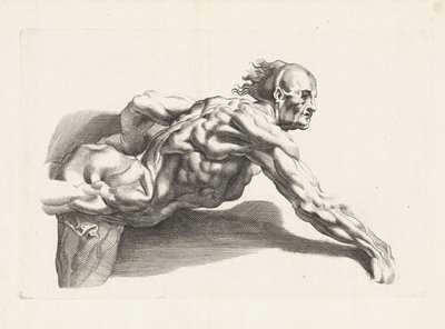 Studio anatomico di uomo chinato da Paulus Pontius