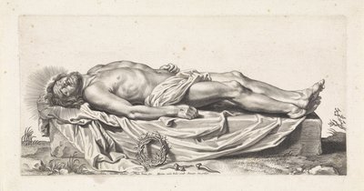 Corpo di Cristo morto da Paulus Pontius