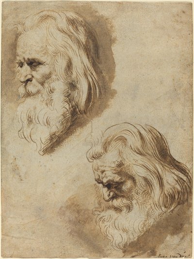 Due Studi della Testa di un Uomo Anziano da Paulus Pontius after Sir Peter Paul Rubens