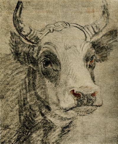 Studio di animali da Paulus Potter