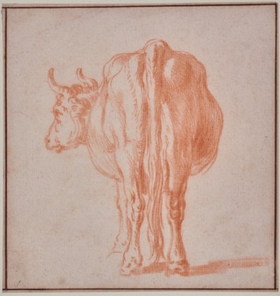 Mucca (studio di animali) da Paulus Potter