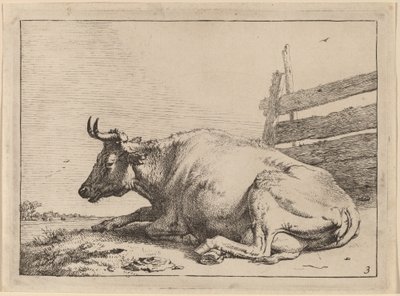 Mucca sdraiata vicino a una recinzione da Paulus Potter