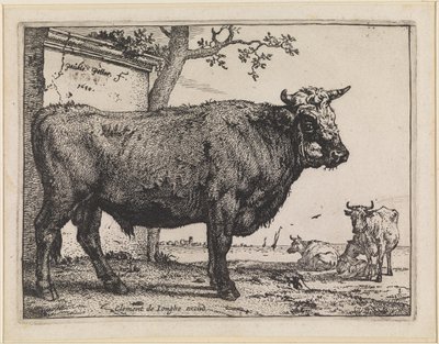 Il toro da Paulus Potter
