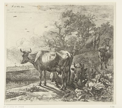 Il pastore da Paulus Potter