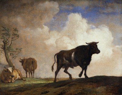 Il toro da Paulus Potter