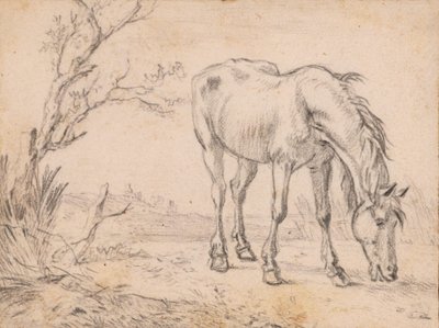Un cavallo al pascolo da Paulus Potter