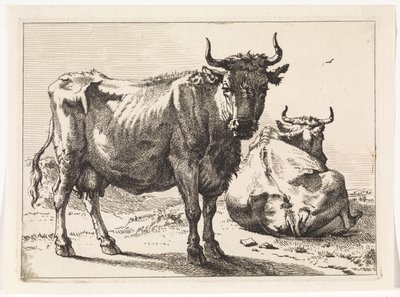 Una mucca in piedi e una sdraiata da Paulus Potter