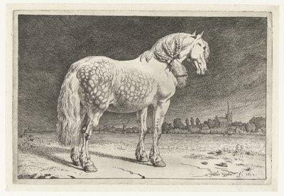 Il cavallo frisone da Paulus Potter