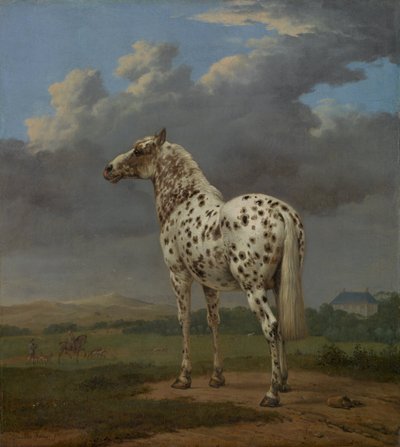 Cavallo pezzato, ca 1654 da Paulus Potter