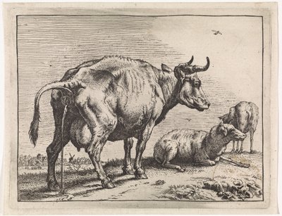 Mucca che urina Il Bullenboekje (titolo della serie) da Paulus Potter