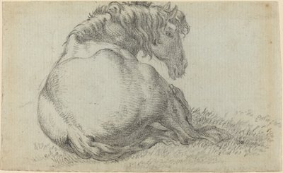 Cavallo a riposo da Paulus Potter
