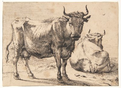 Mucca in piedi e sdraiata da Paulus Potter