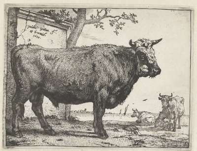 Toro da Paulus Potter