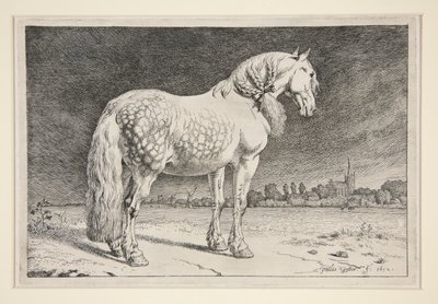 Il cavallo frisone da Paulus Potter