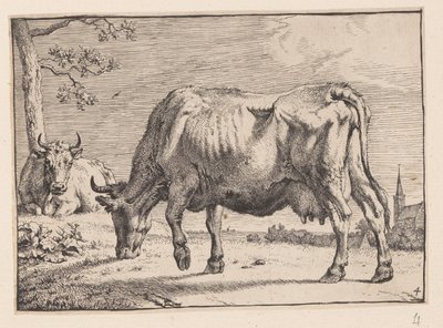 La mucca al pascolo, da Vari buoi e mucche da Paulus Potter