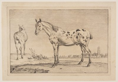 Il cavallo che nitrisce, da Serie di cavalli da Paulus Potter
