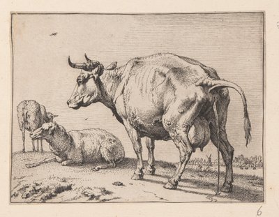 La mucca che piscia, da Vari buoi e mucche da Paulus Potter