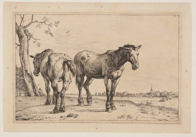 Il cavallo dell