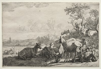 Il pastore da Paulus Potter