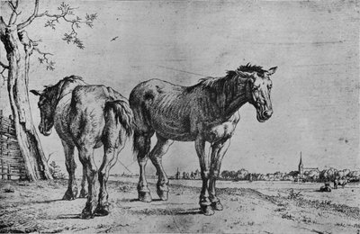 I due cavalli da aratro, 1652 da Paulus Potter