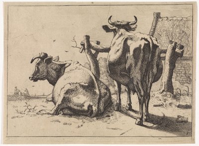 Due mucche viste da dietro (serie Het Bullenboekje) da Paulus Potter