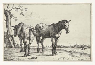Due cavalli da tiro Cavalli (titolo della serie) da Paulus Potter