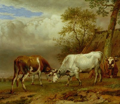 Due tori con corna incrociate, 1653 da Paulus Potter