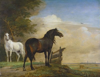 Due cavalli vicino a un cancello nel prato da Paulus Potter
