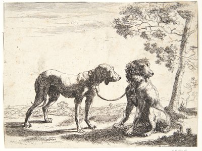 Due cani legati insieme da Paulus van Hillegaert (II)