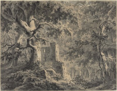 Rovine presso un ruscello nel bosco da Paulus van Liender