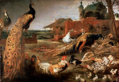 Corvo nei padri del pavone, c1615-1690 da Pauwel de Vos