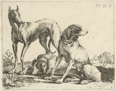 Tre cani (Diversi cani) da Pauwels van Hillegaert