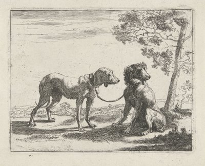 Due cani da Pauwels van Hillegaert