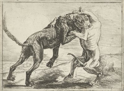 Due cani che combattono (Cani) da Pauwels van Hillegaert