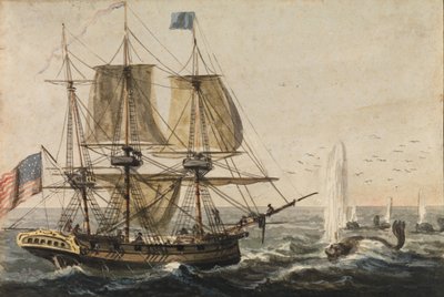Rifornimento della dispensa della nave con merluzzo al largo della costa di Terranova da Pavel Petrovic Svin