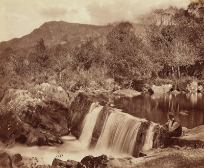 Cascata, contea di Wicklow, c. 1870 (foto) da Payne Jennings