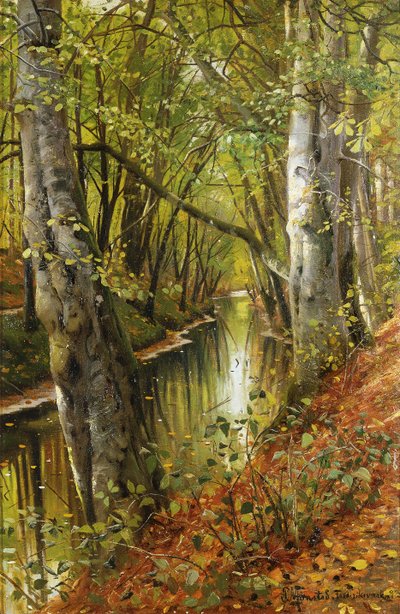 Paesaggio Fluviale Boschivo da Peder Monsted