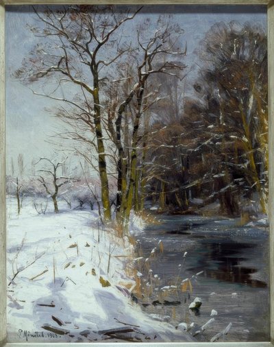 Giornata invernale soleggiata da Peder Monsted