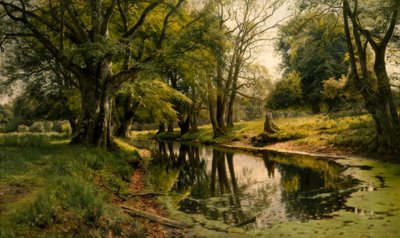 Acqua calma nella foresta da Peder Monsted