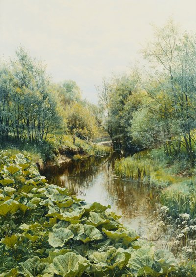Giornata estiva al torrente da Peder Monsted