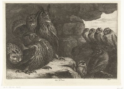 Gufi in una grotta (Uccelli dalla menagerie di Versailles) da Peeter Boel (attributed to)