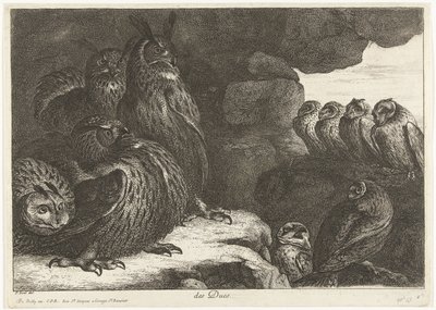 Gufi in una grotta da Peeter Boel (attributed to)