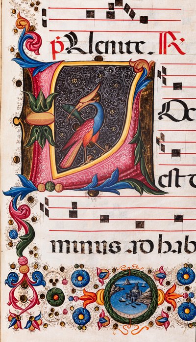 Biblioteca Piccolomini: libro del coro, cod. 5.E, ff. 63r con “Iniziale fogliata”, di Pellegrino di Mariano. Dettaglio. da Pellegrino di Mariano