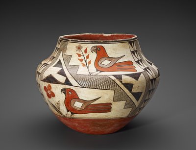 Vaso (Olla) con pappagalli da People Acoma
