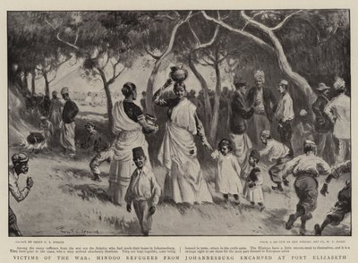 Vittime della guerra, rifugiati indù da Johannesburg accampati a Port Elizabeth da Percy F.S. Spence