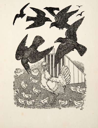 Un corvo calcolatore, da A Hundred Anecdotes of Animals, pub. 1924 da Percy J. Billingshurst